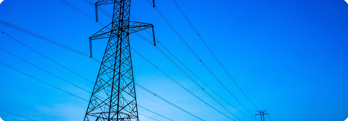 Smart Grid